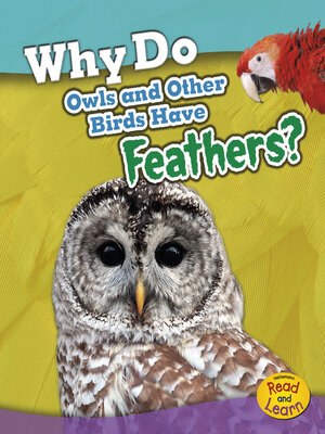 cover image of Why Do Owls and Other Birds Have Feathers?